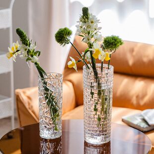 轻奢水养富贵竹插花玫瑰玻璃花瓶专用百合感鲜花透明高级摆件客厅
