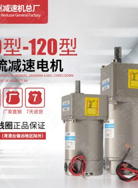 直20WV2-流24V0/齿轮减速电机20马达0磁直V11流永热VW060卖/612V/