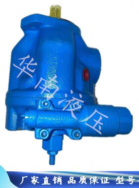 00A495B49U42K1A032500伊顿CD2A20010油泵00美国00AD柱LD00泵塞10