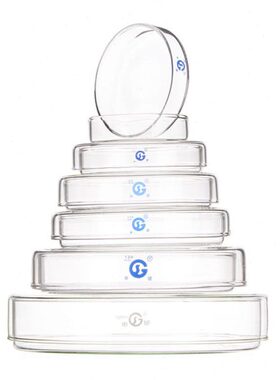 申玻高硼硅玻璃培养皿实验室细菌细胞60 75 90 100 120 150mm加厚