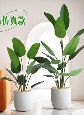 直销PU软杆高仿真旅人蕉北欧风格民宿装饰绿植INS风假树绿植
