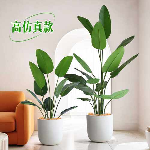 直销PU软杆高仿真旅人蕉北欧风格民宿装饰绿植INS风假树绿植