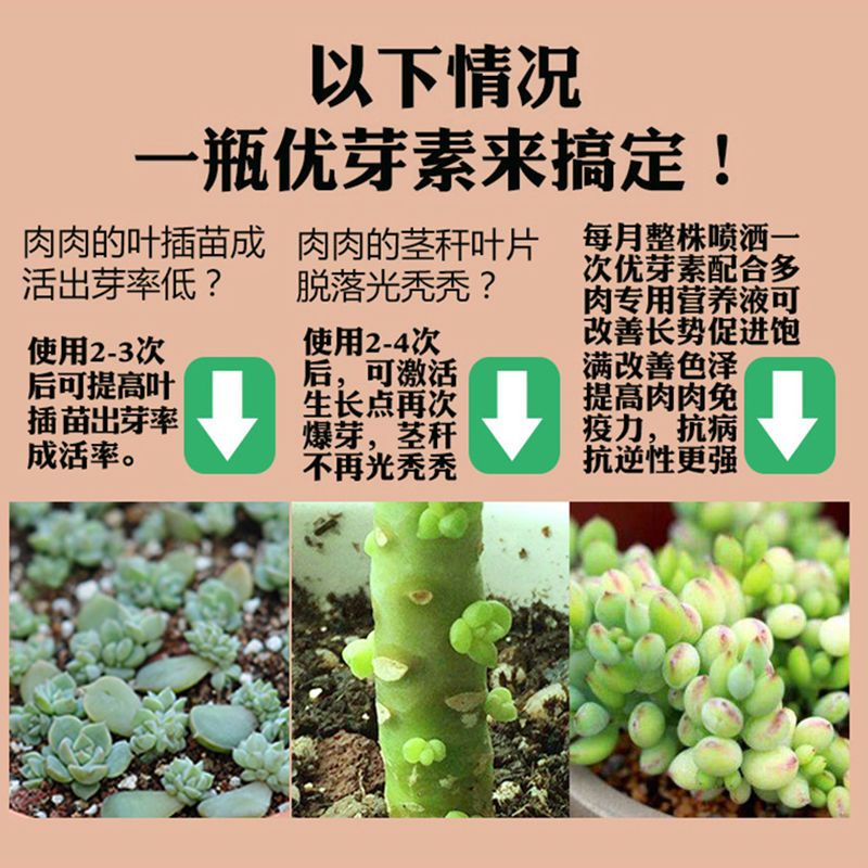 多肉优芽素促f多头侧芽分裂素促芽促生长催芽矮胖素爆芽素