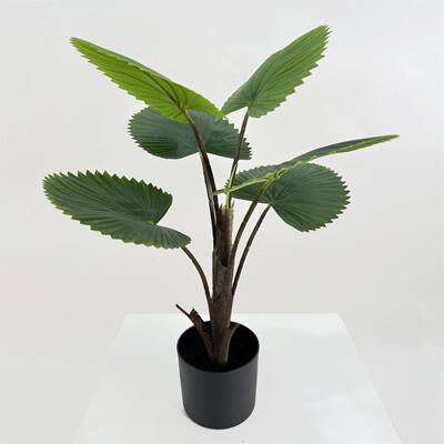 仿真商贸棕榈树盆栽植物盆景家居装饰工艺品圆叶轴榈仿真绿植装饰