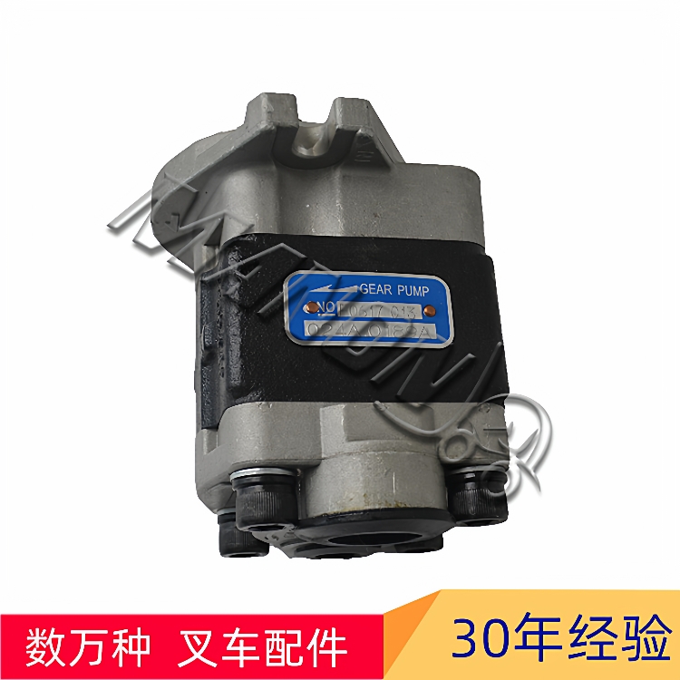 叉车配件134A7-10301齿轮油泵总成适用于TCM叉车4JG2发动机