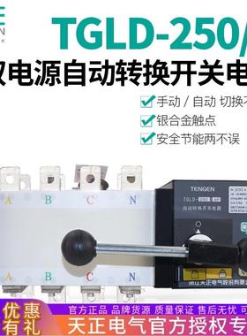 TENGEN天正TGLD-250双电源自动转换开关250A200A160A三相四线4P