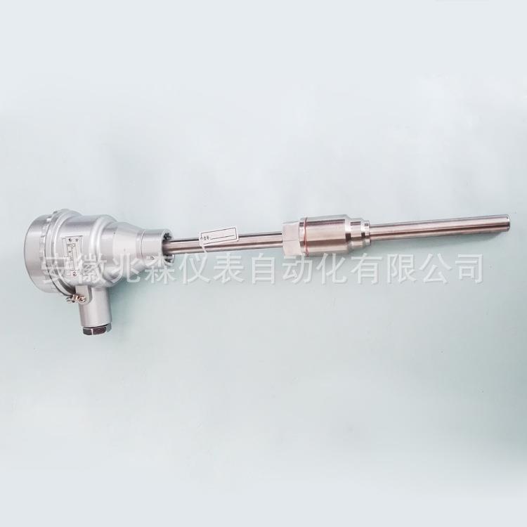 CT6防爆热电阻WZPB-240WZPK-240PT100防爆CT6接线盒WZPK-241B