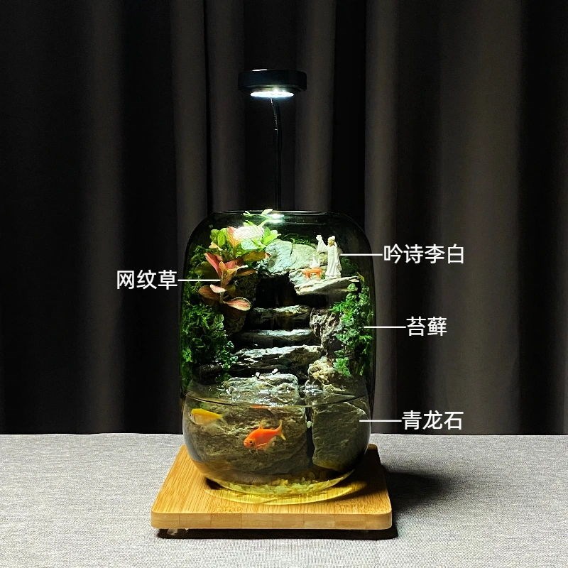 石上悬崖流水款养鱼缸真植物x苔藓微景观生态瓶办公室成品室内送