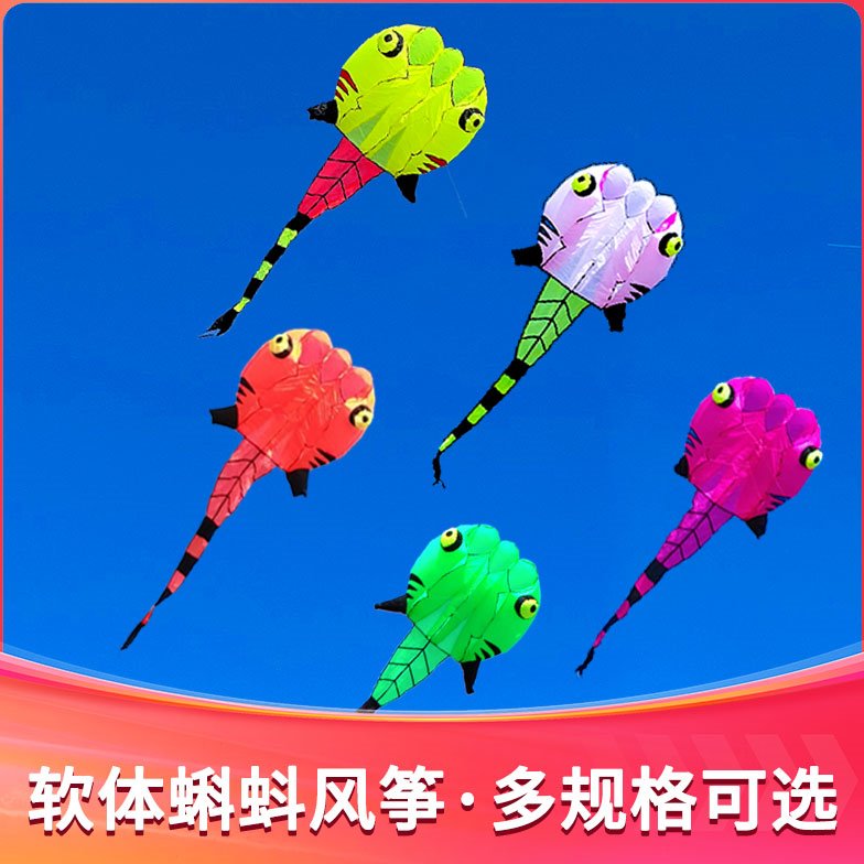 青州马老四风筝 高档伞布参赛级蝌蚪 好飞易飞特大软体立体大风筝