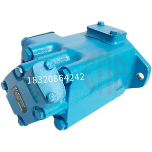 进口塞纳瑞d液压泵S3525VQ30A14 1D注塑机械油泵电动齿轮泵