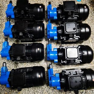 带耳朵调压阀齿轮泵L 2.5锯床油泵电机