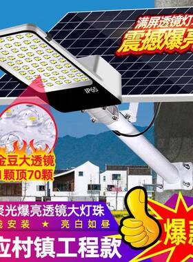 路灯新农村户外庭院灯感应室外工程道路照明分体式led路灯