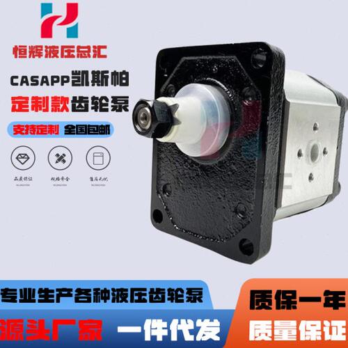 凯斯帕齿轮马达CASAPPA齿轮泵PLM10-1/1.5/2/2.5/3.15/4/5液压泵