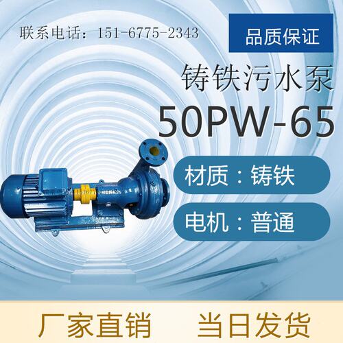 PW型铸铁污水泵 100PW-125型污水泵 4寸污水泵 联轴式污水泵