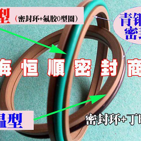 AL5埃洛特GSZ防尘圈125*133.8/137.2/130*138.8/142.2*6/8.1特康
