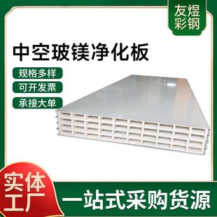 厂家供应中空玻镁净化板防火隔热保温板无尘车间室内隔断手术彩钢