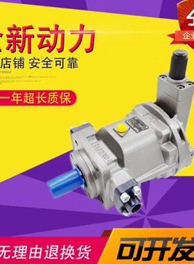 恒源HY250Y-RP轴向柱塞油泵配件 HY80Y/63Y/40Y/25Y/160Y/107Y-LP