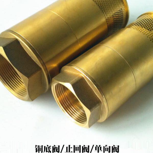 止回阀1.5寸DN40 2寸双门铜底阀柴油 汽油加油机 油罐单向过滤网
