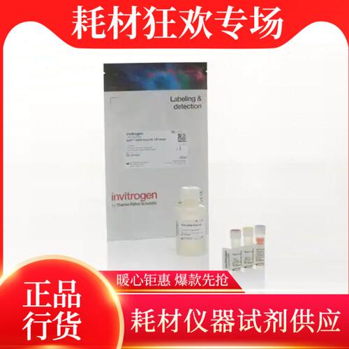Invitrogen Qubit ssDNA 检测试剂盒 Q10212