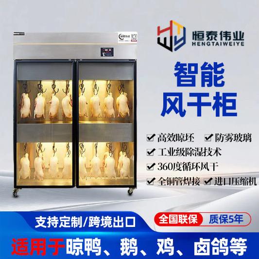 晾坯间晾坯房北京烤鸭解冻除湿风干晾胚晾鸭柜保鲜柜风干柜风干房