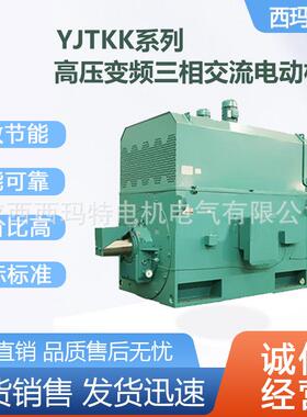西安电机YJT-400L2-4极400W6V高压变频三相异步电动机厂
