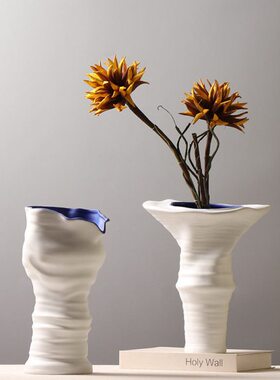 现代简约白色陶瓷花瓶 异形花器样板房客厅插花装饰品 电视柜摆件