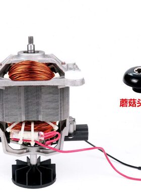 台湾麦登MD-202C沙冰机现磨豆浆机破壁机电机马达配件