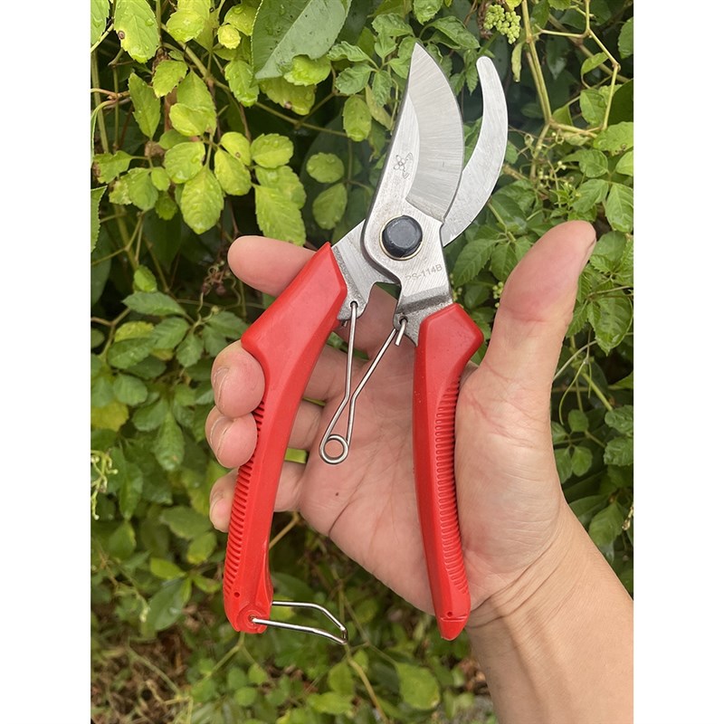 蝴蝶牌剪葡萄专用剪枝剪整枝剪花木修树枝剪花枝剪刀果树园艺弹簧