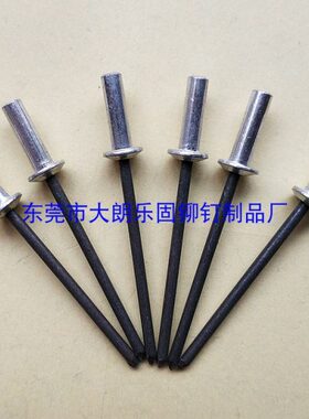 GB/T12615封闭型扁圆头抽芯铆钉铝合金盲孔防水铆钉拉钉3.0*10