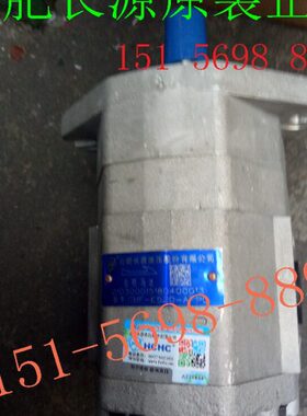 CMF-E540-AFPS 合肥长源 齿轮油泵马达CMF-E540-AFPS机械用马达