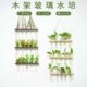 欧式 田园风木架试管透明玻璃花瓶墙壁壁挂悬挂水培绿植插花瓶