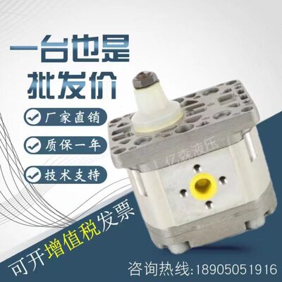 法国HPI齿轮油泵P3BAN3020/3025/3031/3040/3050/3060/3071/3080