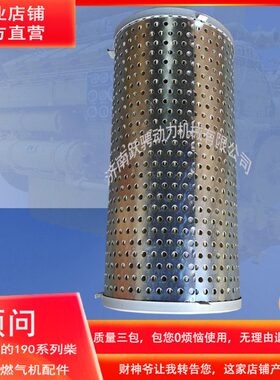 0g19机油格f配件驰.18z120机油滤芯2a1A发电机组10vd30120.动l