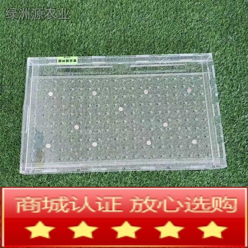 穴盘点播机器穴盘播种器漂浮穴盘播种器神器方孔穴T盘圆孔点籽器