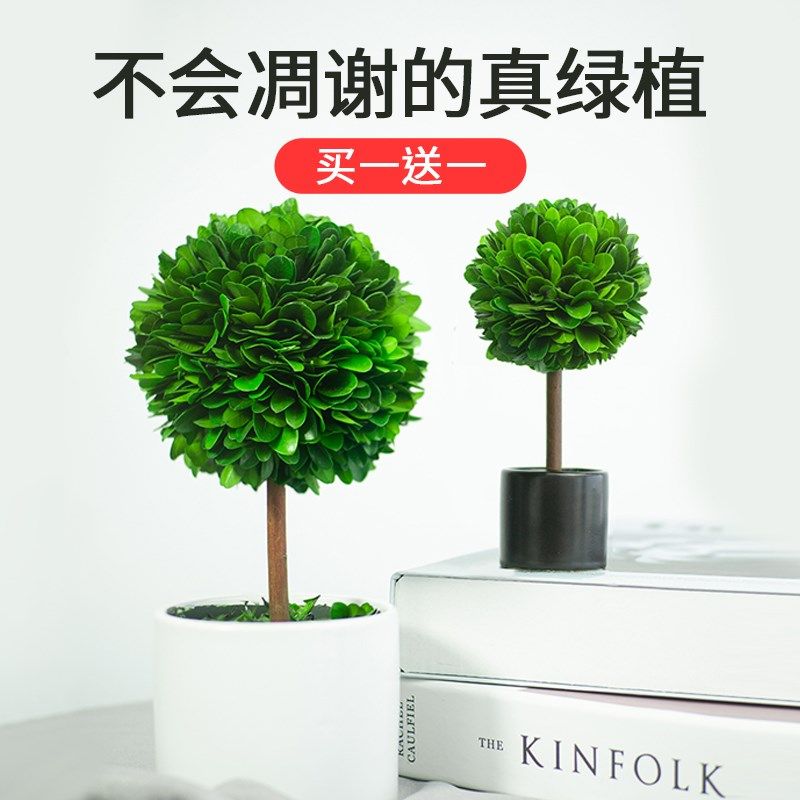 【买一送一d】北欧风桌面植物摆件车内饰品客厅玄关电视柜轻奢装,家居饰品,装饰摆件,淘宝优惠券,粉丝福利购,淘宝优惠卷