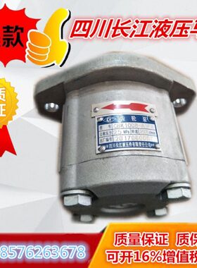 四川长江齿轮泵 CBK1010-B1FR CBK1012/1008/1004/1016/1020-B2TL