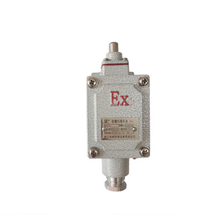 Z型L型B型H型N型 BLX5 防爆开关 LX5限位开关 防爆行程开关DLXK