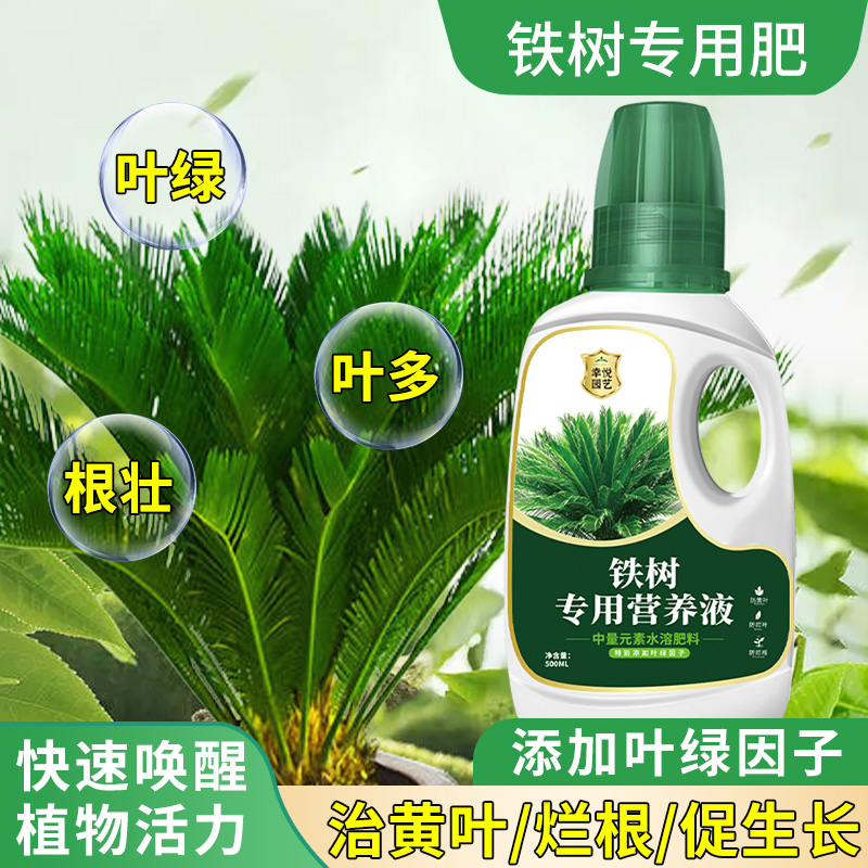 铁树专用肥料叶子发黄硫酸亚铁肥铁树专用营养液黄叶病盆栽肥料
