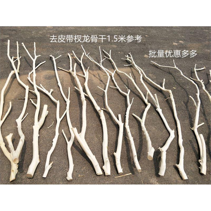 去皮原木橘子枝干支干花艺术造景树枝树杈装饰壁挂衣架摆设枯木