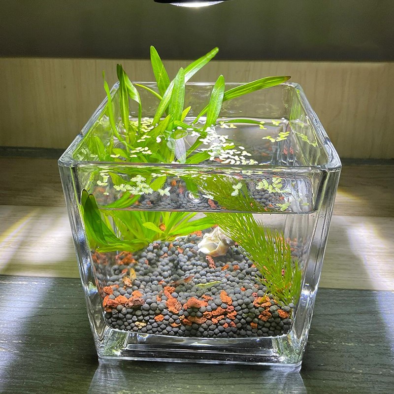 超白桌面方形小鱼缸水族箱客厅小型创意家用玻璃生W态迷你金鱼缸