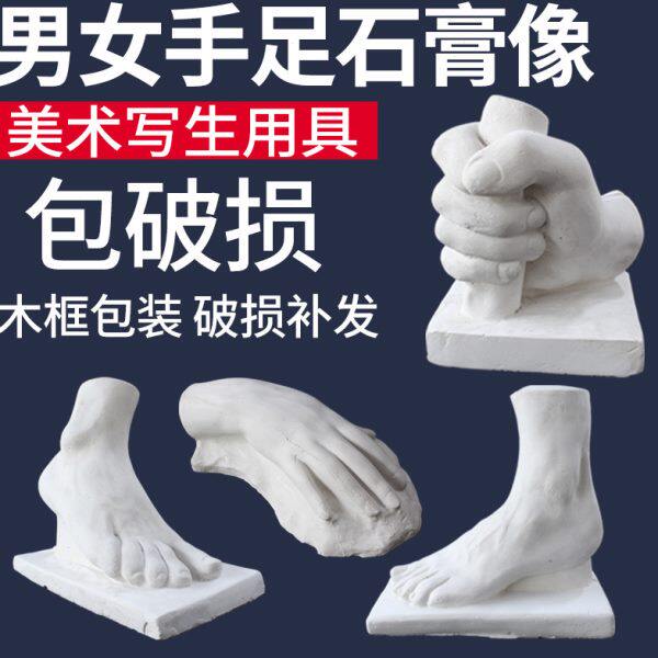 男女手足石膏像手脚四件套石膏教具美术素描绘画写生静物用具摆件
