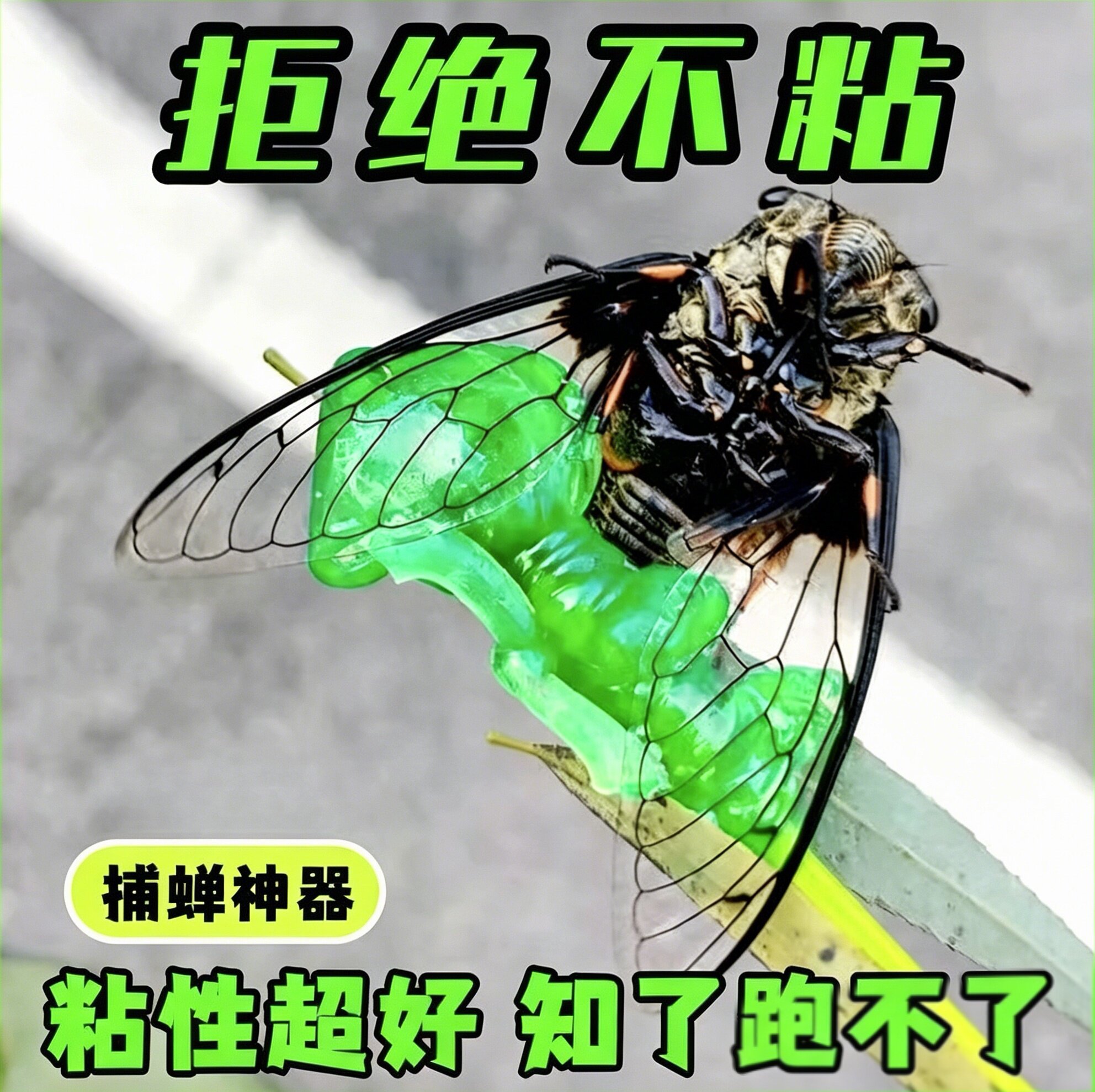夏季户外高粘粘球捕蝉抓知了神器