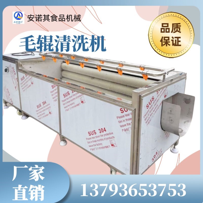 大型毛辊清洗去皮机商用竹笋花生洗泥机器生蚝S海产品毛刷清洗机