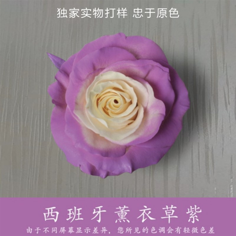 花艺专用染色剂喷色冰梅粉喷漆花B玫瑰花鲜花乌梅子酱彩色碎冰蓝