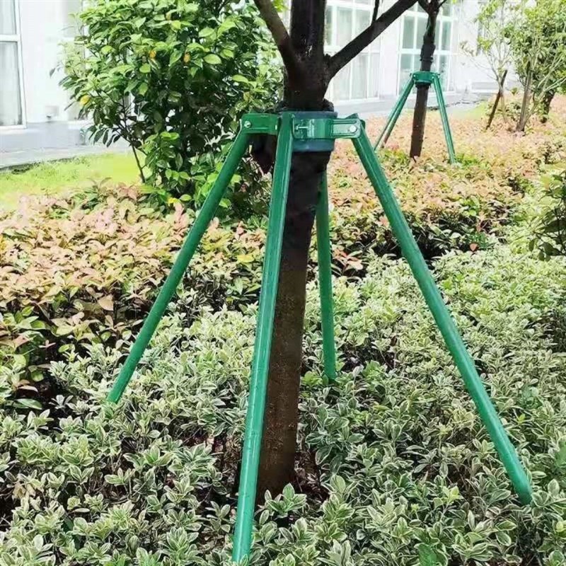 树木支撑架园林绿化防风s防倒支架扶树大树固定器铁抱箍苗木支撑