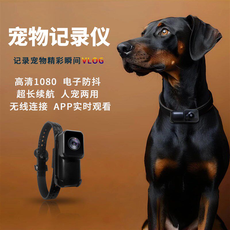 宠物猫咪狗狗视角wifi相机挂脖项圈摄像头无线记录仪猫用拍摄设备