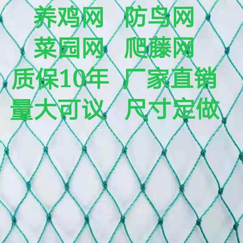 防鸟网枸杞樱桃网葡萄果树果园防鸟天网泥鳅鱼塘防护尼龙网栅栏