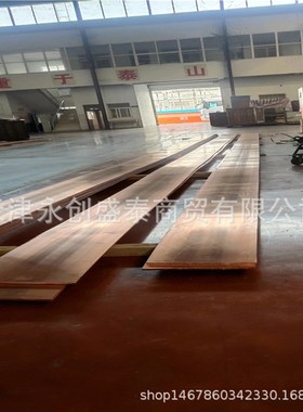 TU0紫铜排 T2导电紫铜排 接地铜排 15*300紫铜排 价格优惠铜排