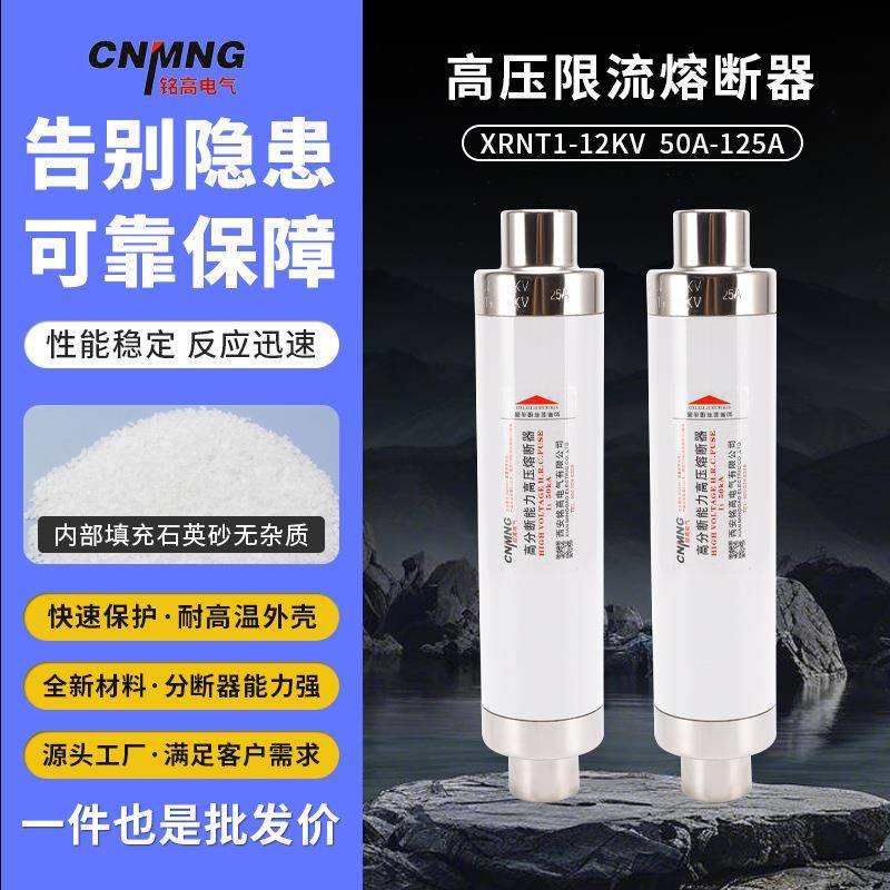 高分断能力高压限流熔断器XRNT陶瓷熔断器XRNT1-12KV/50A-125A