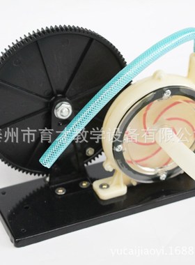 31004离心水泵模型齿轮式物理实验器材教学仪器